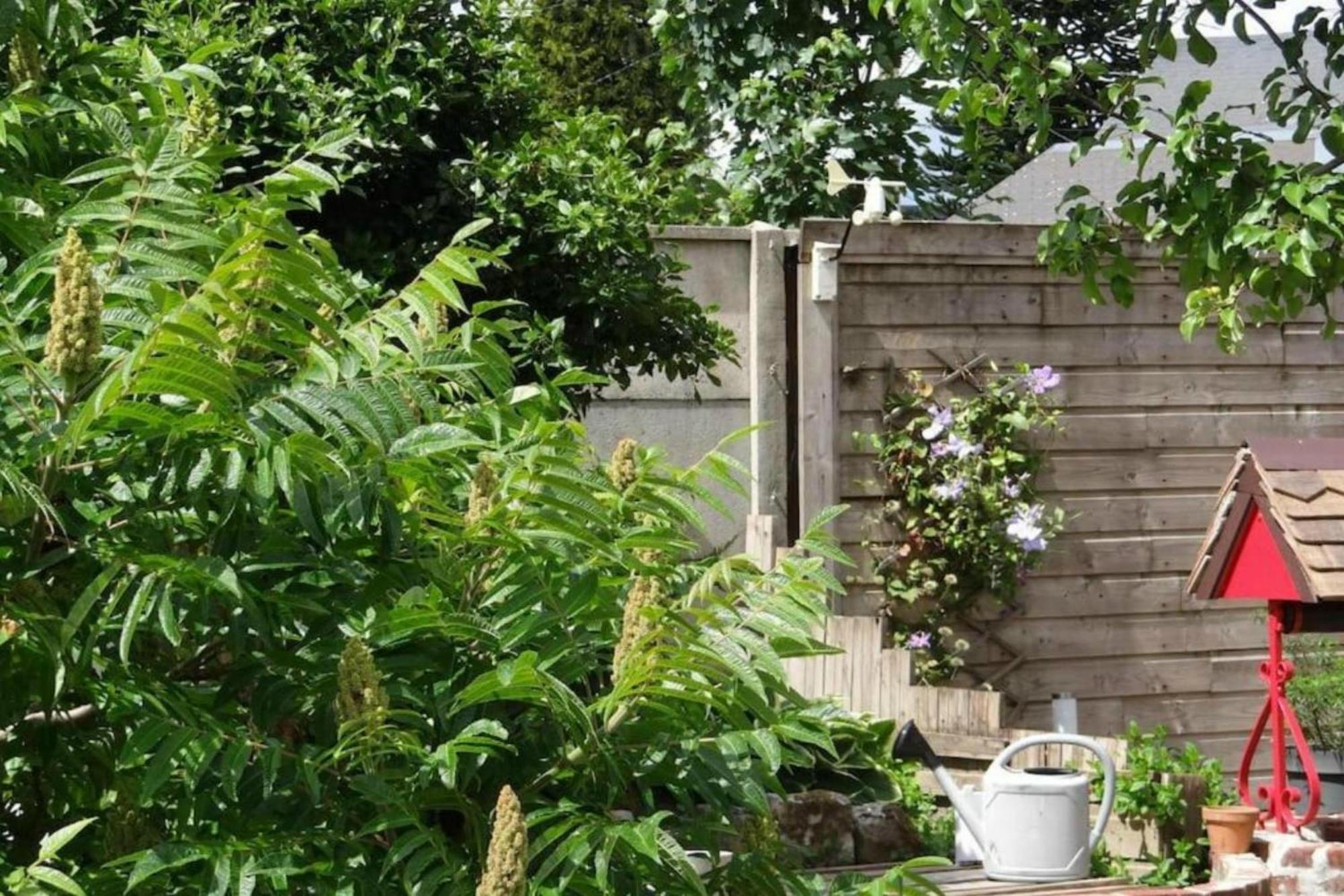 Clos Des Paquerettes : Maison Avec Jardin Privatif Yvetot Exterior photo